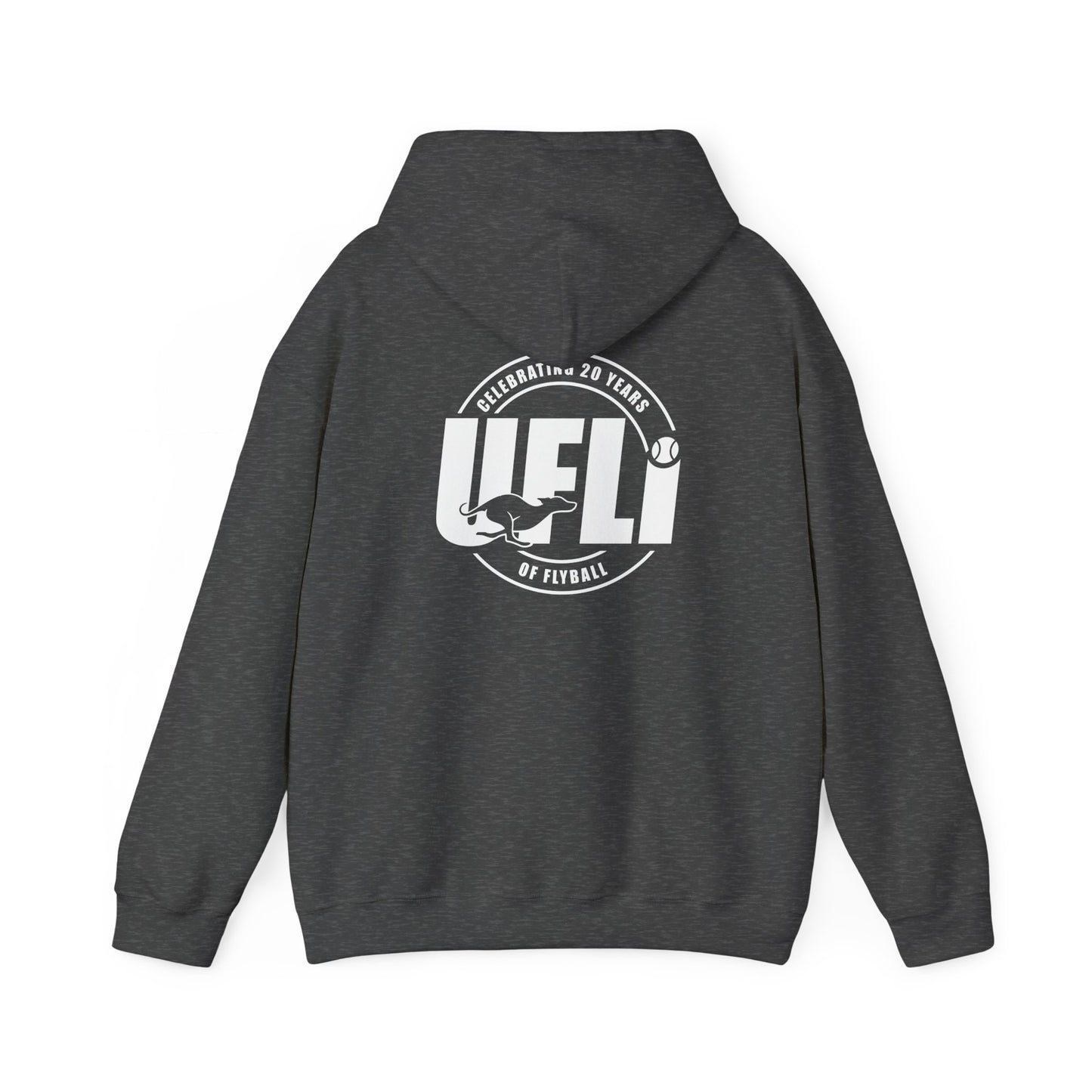 Celebrating 20 Hoodie