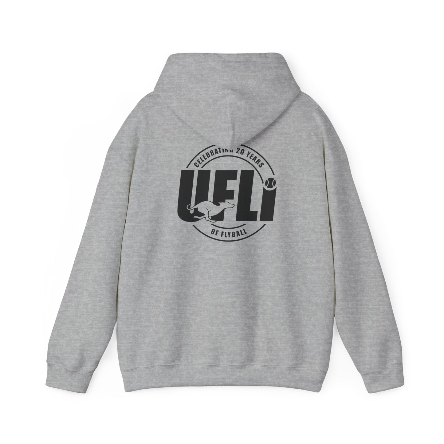Celebrating 20 Hoodie