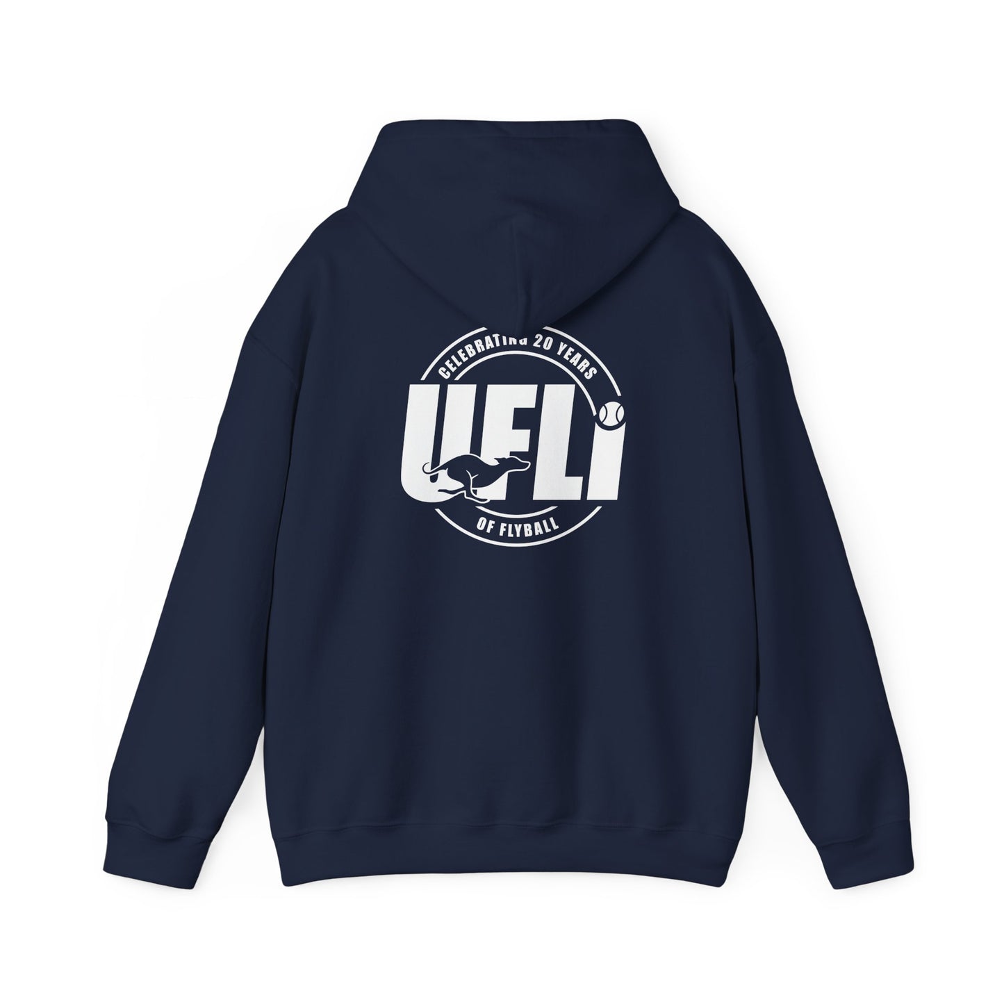Celebrating 20 Hoodie