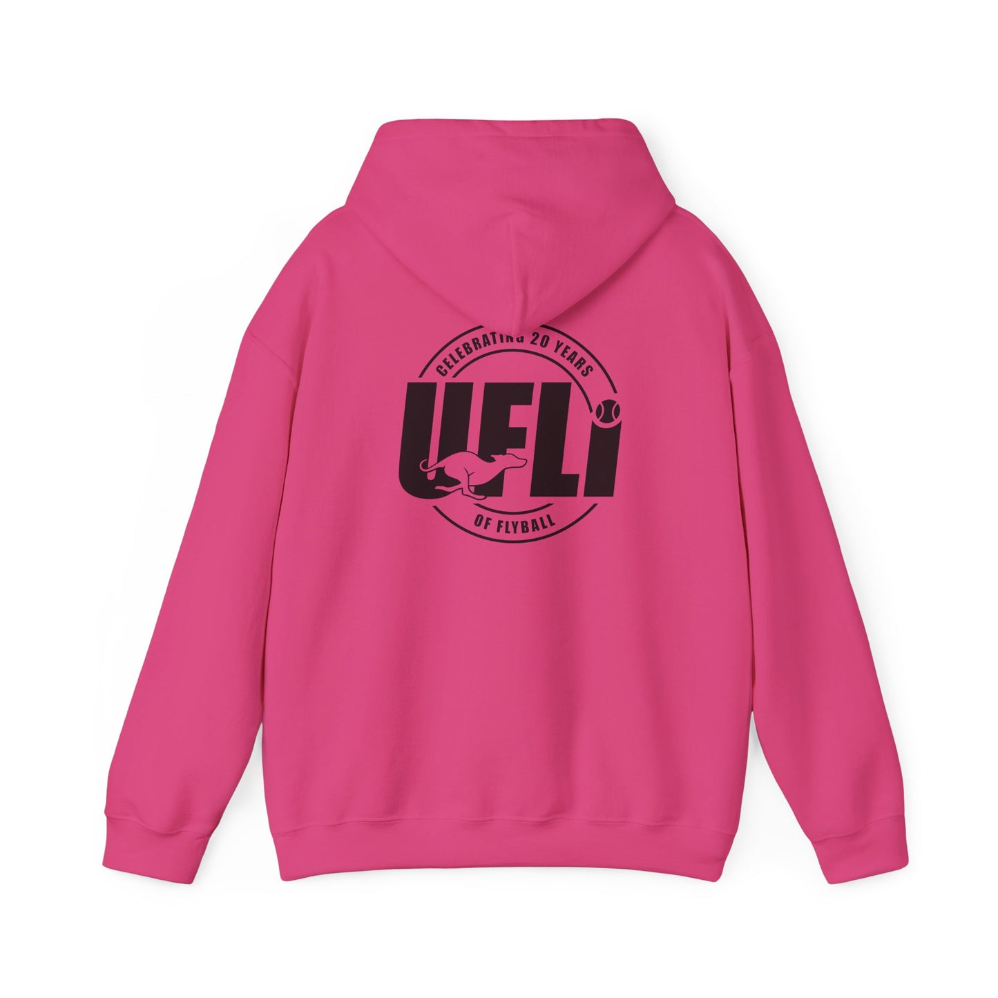 Celebrating 20 Hoodie