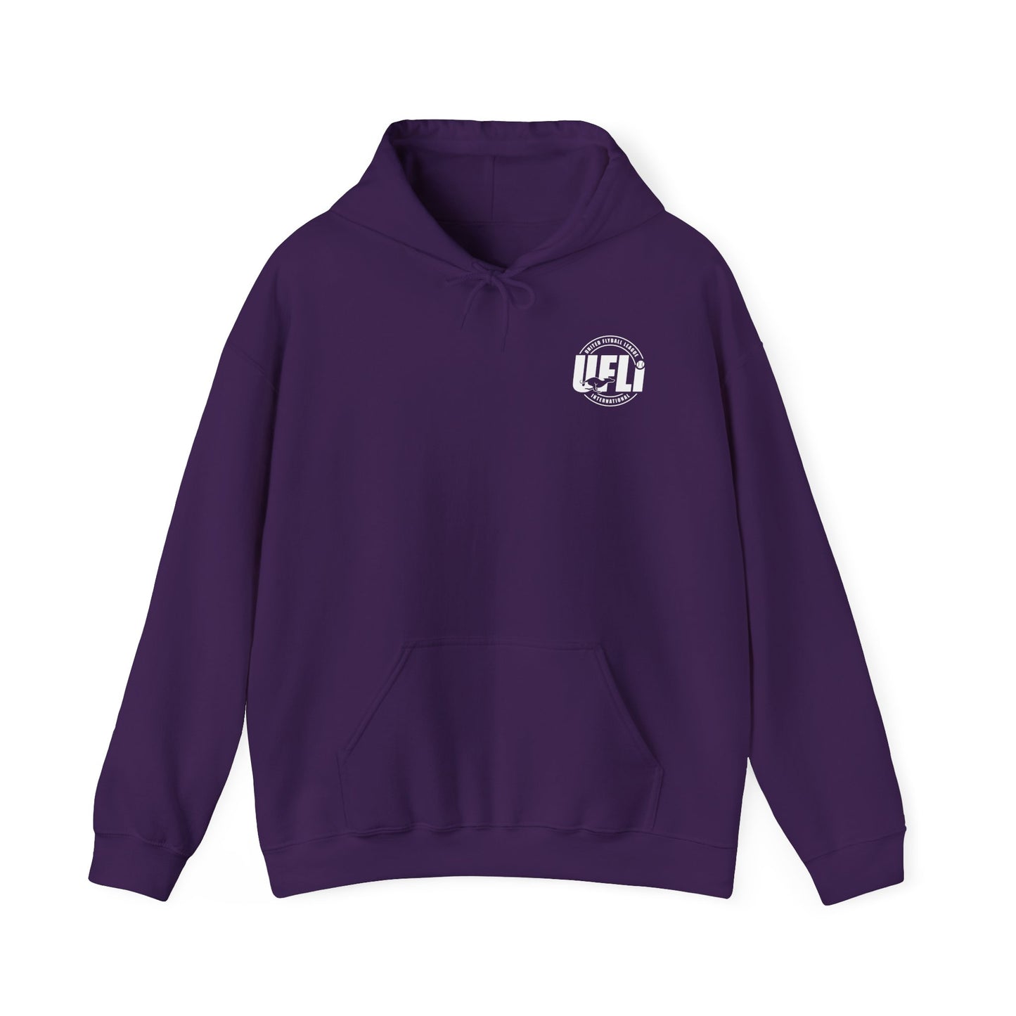 Celebrating 20 Hoodie