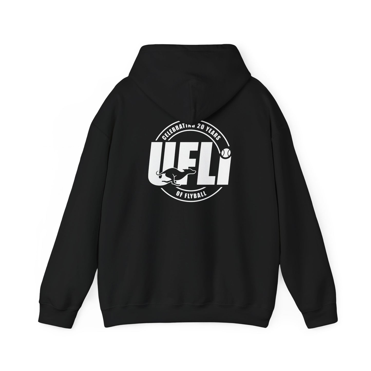Celebrating 20 Hoodie