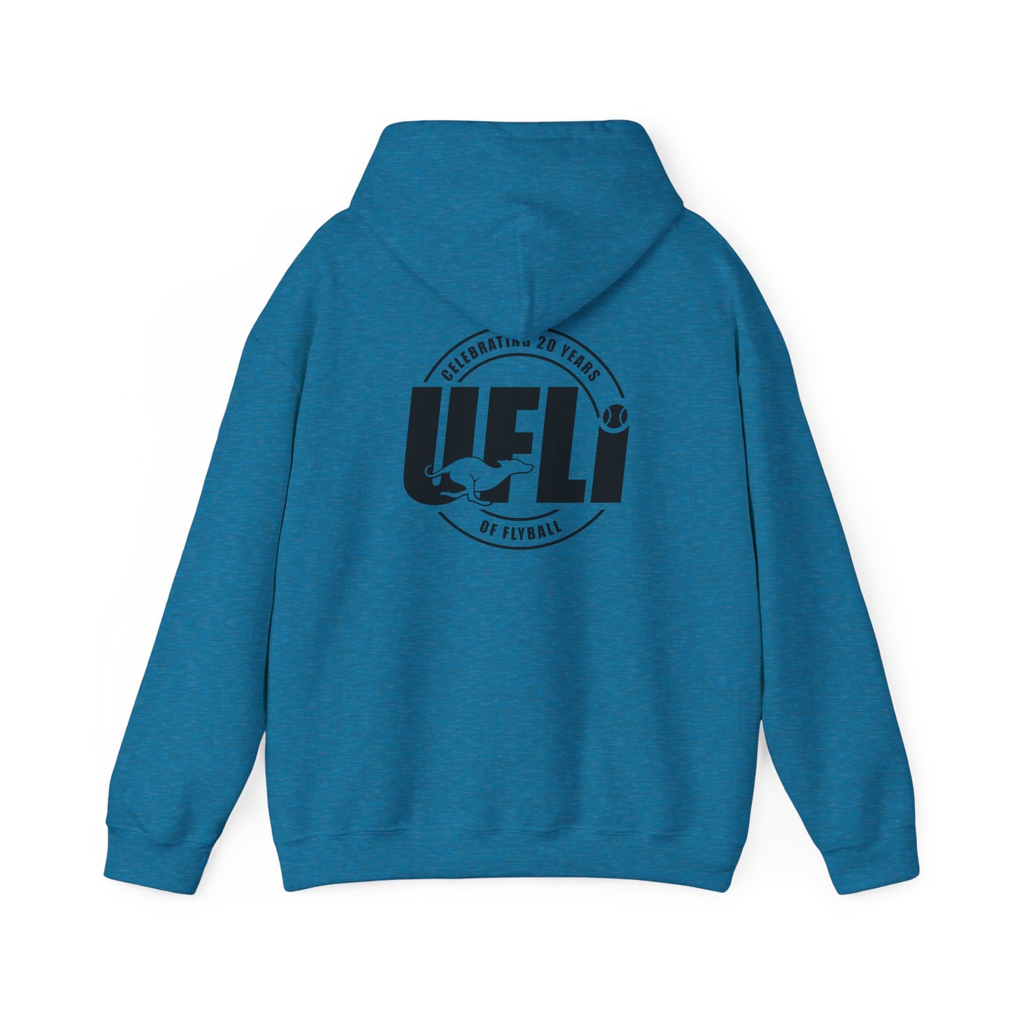 Celebrating 20 Hoodie
