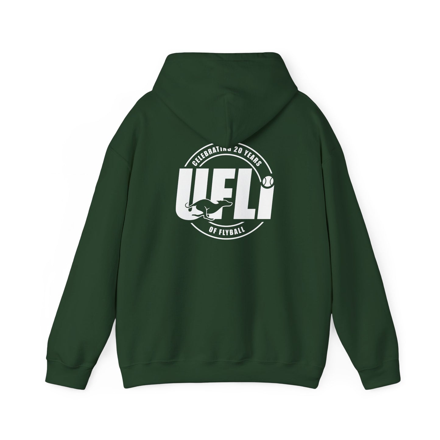 Celebrating 20 Hoodie