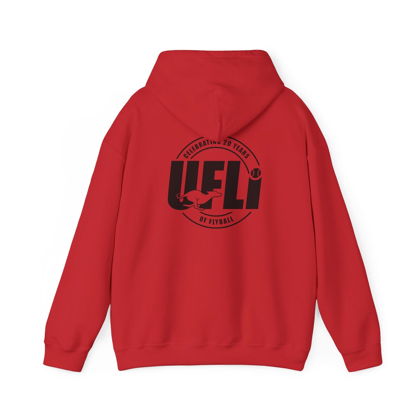 Celebrating 20 Hoodie