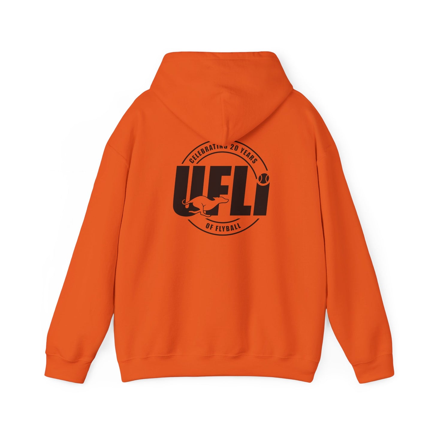 Celebrating 20 Hoodie