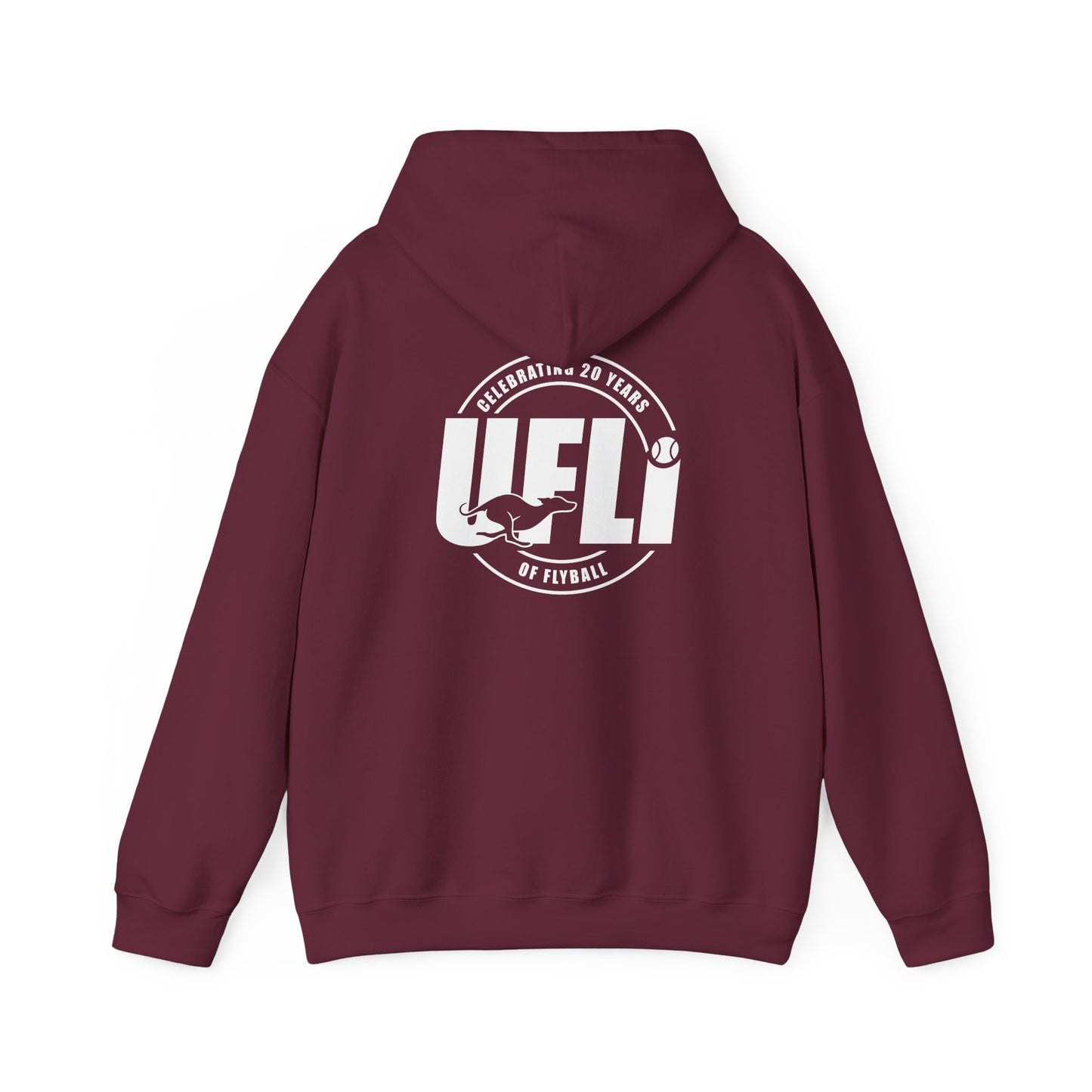 Celebrating 20 Hoodie