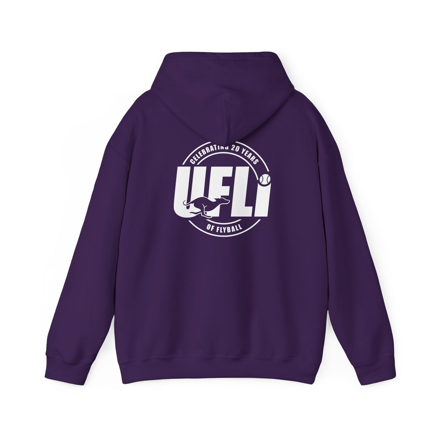 Celebrating 20 Hoodie