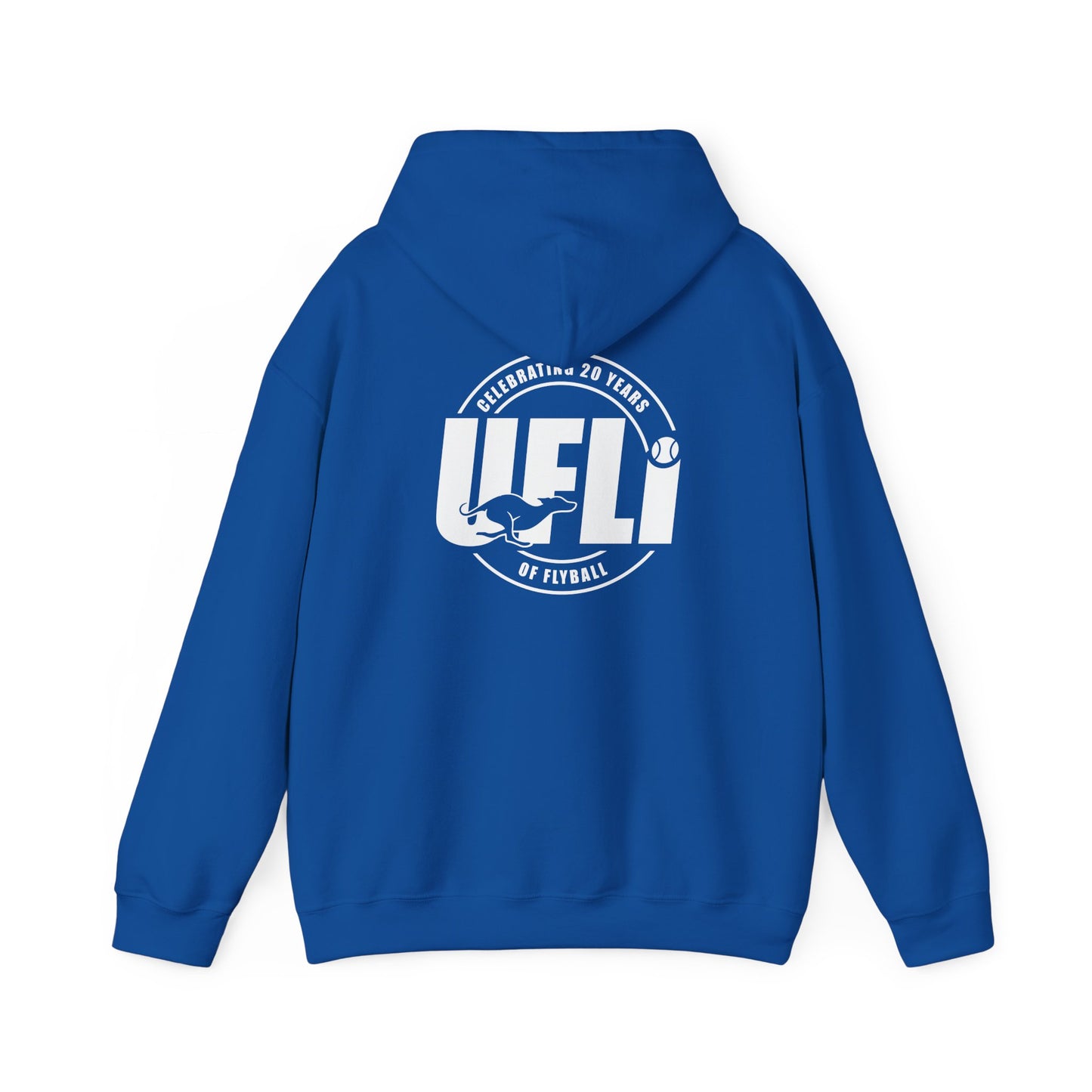 Celebrating 20 Hoodie